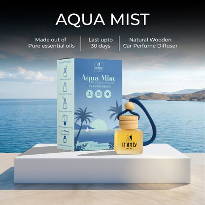 Aqua Mist Car Perfume Hanging