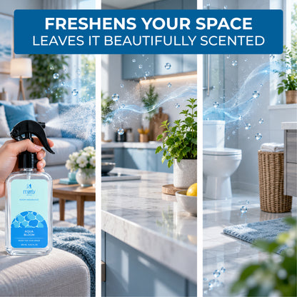 Fresh Water (Aqua Room Freshener)